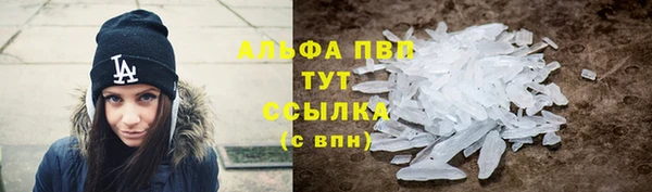 дживик Арсеньев