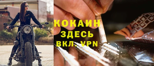 дживик Арсеньев