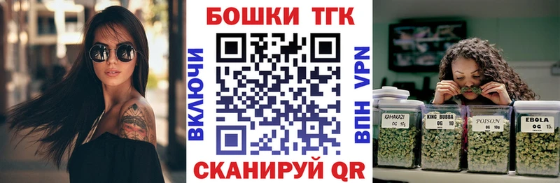 MEGA онион  купить  цена  Снежногорск  Конопля SATIVA & INDICA 